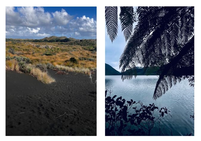 Blog NZ 4